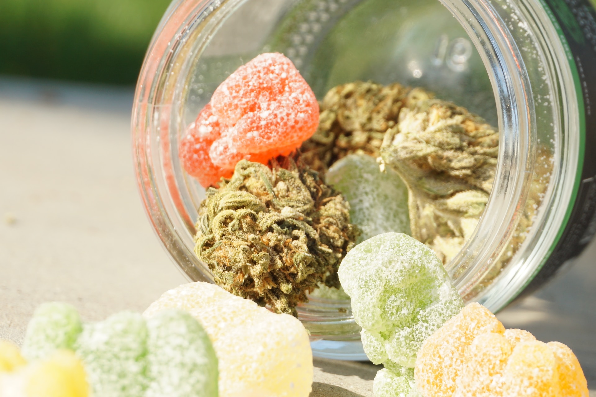 edible cannabis